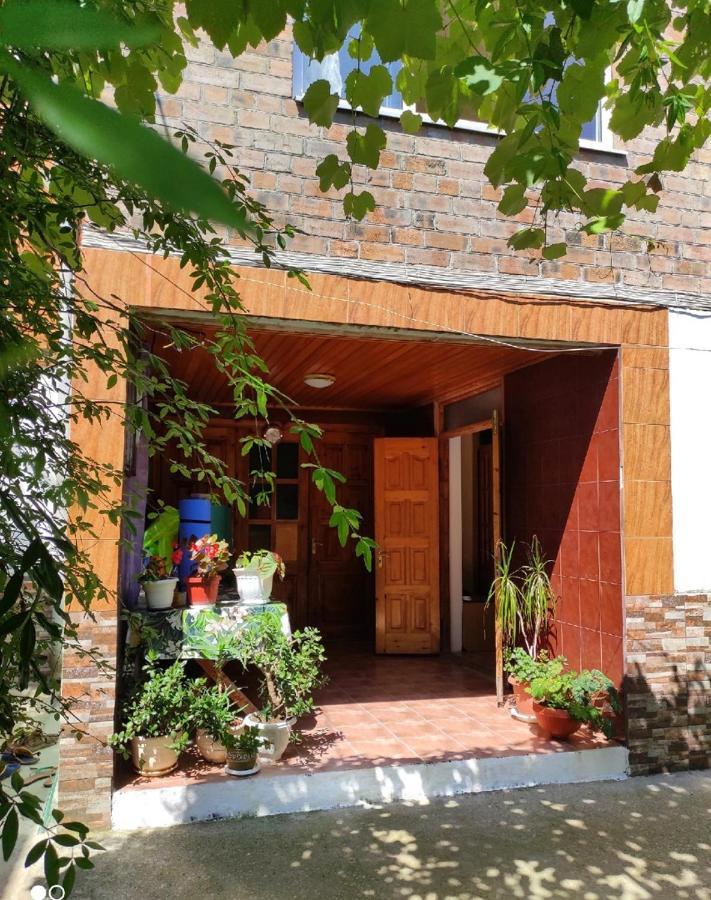 Guest House New Athos Luaran gambar